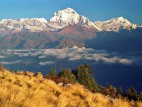 Ghorepani Circuit Trek